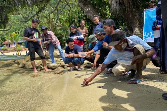 Begini Cara BBKSDA Papua Peringati Hari Penyu Sedunia - JPNN.COM