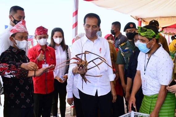 Lihat, Apa yang Dipegang Jokowi saat Meninjau Pameran UMKM di Wakatobi - JPNN.COM