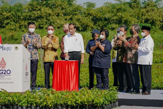 Resmikan Persemaian Rumpin di Bogor, Jokowi: Perbaiki Lingkungan dengan Aksi yang Jelas - JPNN.COM