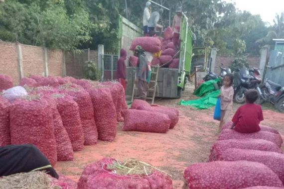 Banjarnegara Pasok 17 Ton Cabai Merah Keriting dan Rawit Hijau ke Jabodetabek Setiap Hari - JPNN.COM