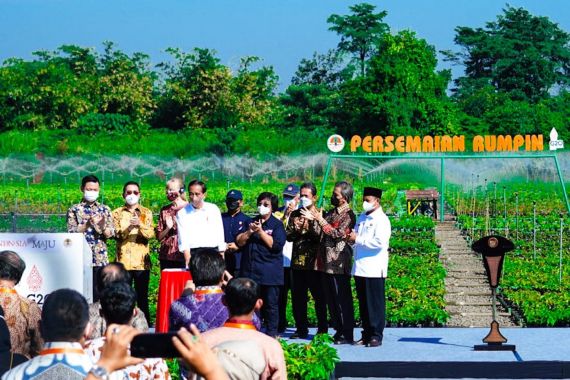 Presiden Jokowi Berkomitmen Atasi Perubahan Iklim, Nih Buktinya - JPNN.COM