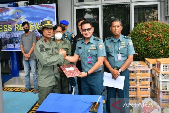 TNI AL Tangkap 2 Penyelundup 1.300 Ekor Burung Asal Kalimantan - JPNN.COM