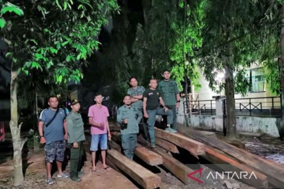 Sisir Lokasi Rawan Pembalakan Liar, KPH Tabalong Temukan 34 Batang Kayu Tak Bertuan - JPNN.COM