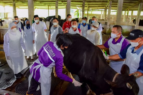 Jelang Iduladha, Gubernur Khofifah Pantau Langsung Distribusi Vaksin PMK di Jatim - JPNN.COM