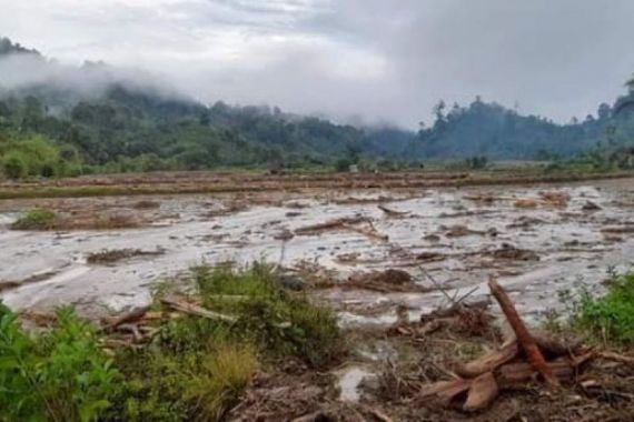 Banjir di Mamasa Merusak Puluhan Hektare Lahan Pertanian dan Hewan Ternak Hanyut - JPNN.COM