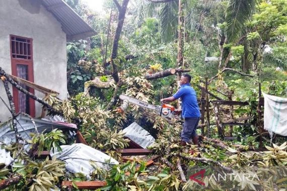 Pohon Durian Tumbang ke Rumah Warga Gegara Angin Ribut - JPNN.COM