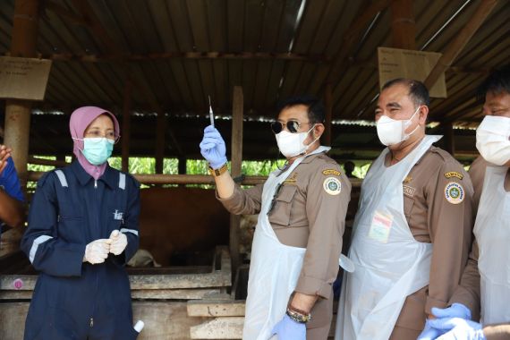 Mentan SYL Pimpin Vaksinasi PMK Perdana di Jawa Tengah - JPNN.COM