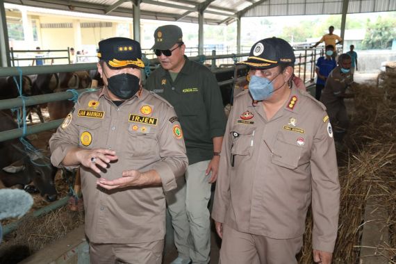 Kementan dan TNI AU Berkolaborasi Kembangkan Sorgum dan Jagung di Area Bandara El Tari - JPNN.COM