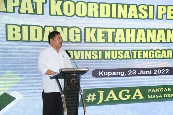 Kementan-APH Provinsi NTT Berkolaborasi untuk Tingkatkan Program Jaga Pangan - JPNN.COM