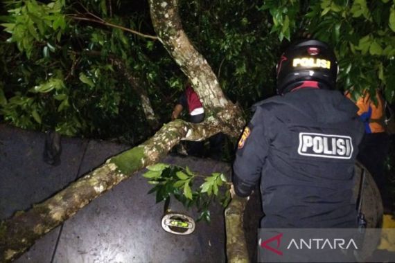 Polisi Beber Fakta Kondisi Bus Masuk Jurang di Tasikmalaya - JPNN.COM