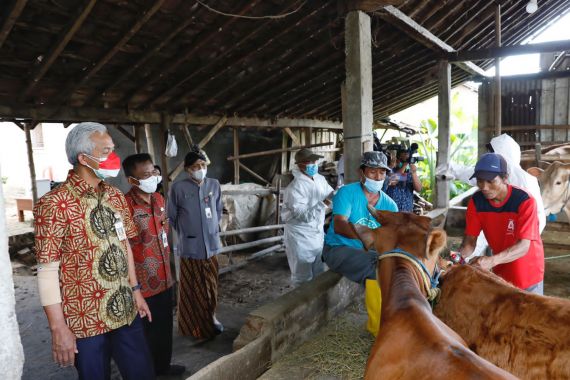 Begini Strategi Ganjar Pranowo Menangani PMK di Jateng - JPNN.COM