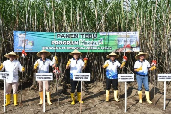 Program Makmur Tingkatkan Pendapatan Petani Tebu di Kediri - JPNN.COM