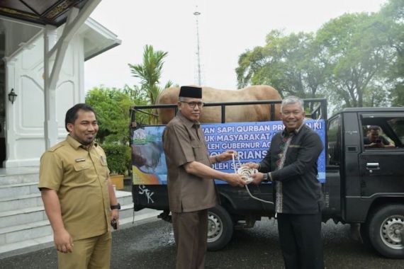 Lihat Penampakan Sapi Presiden Jokowi yang akan Disembelih di Aceh Tengah - JPNN.COM