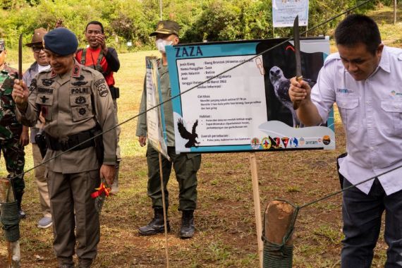 400 Anggota Brimob Diterjunkan, 3 Ekor Elang Brontok Dilepas liar - JPNN.COM