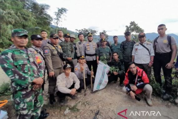 Pemilik Ganja di Lahan 10 Hektare Siap-siap Saja, Anak Buah AKBP Doni Sedang Bergerak - JPNN.COM