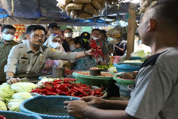 Mentan SYL Sidak Stok dan Harga Pangan di Pasar Seusai Iduladha - JPNN.COM