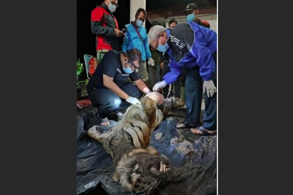 Citra Kartini Ditemukan Mati di Taman Nasional Kerinci Seblat, Mengenaskan - JPNN.COM