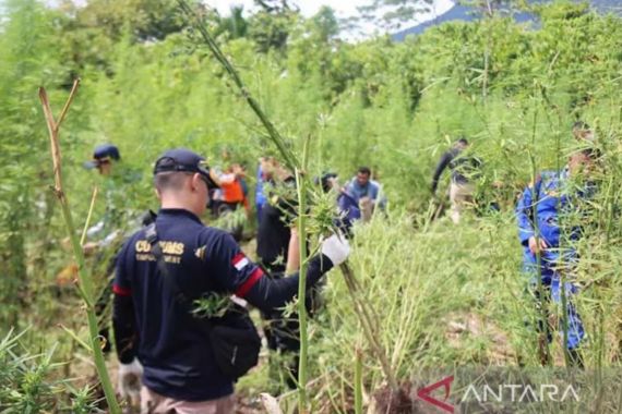 Polisi dan TNI Rela 3 Jam Berjalan Kaki Demi Tangkapan Besar, Total 13 Ton! - JPNN.COM