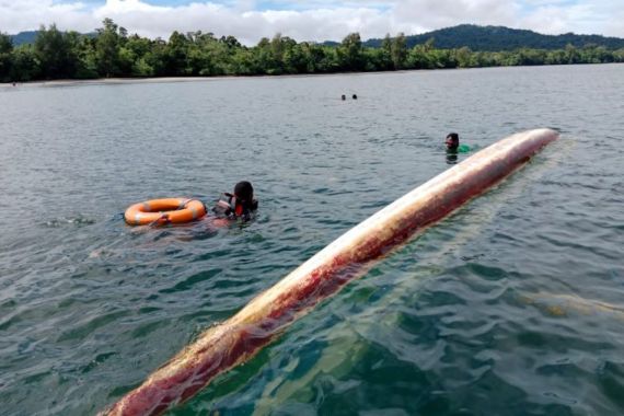 1 Korban Perahu Terbalik di Perairan Teluk Wondama Ditemukan Dalam Keadaan Meninggal Dunia - JPNN.COM
