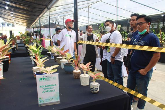 Jakarta Plant Market: Semaraknya Kontes Tanaman Hias di Ragunan - JPNN.COM