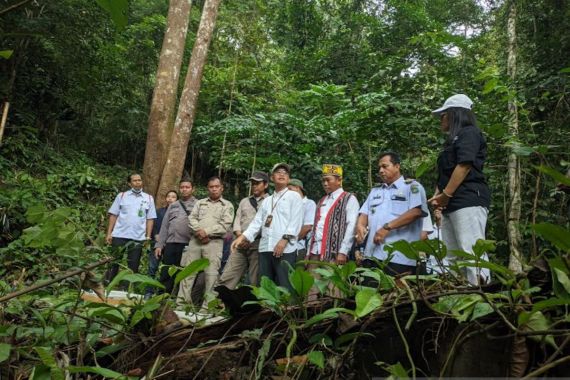 BKSDA Kalbar Melepasliarkan 30 Burung Kacer di Gunung Poteng - JPNN.COM