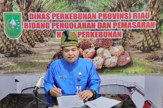 Harga TBS Kelapa Sawit di Riau Naik Lagi - JPNN.COM