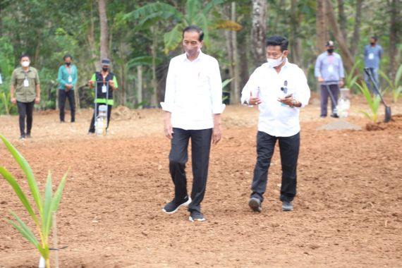 Didampingi Mentan SYL, Presiden Jokowi Luncurkan Program Kelapa Genjah 1 Juta Batang - JPNN.COM