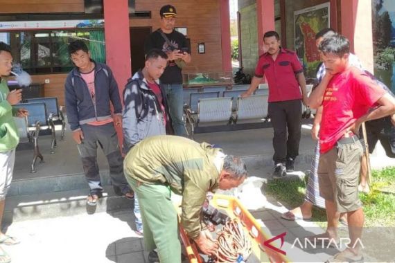 Warga Portugal Mengalami Nasib Malang di Gunung Rinjani, Begini Peristiwanya - JPNN.COM