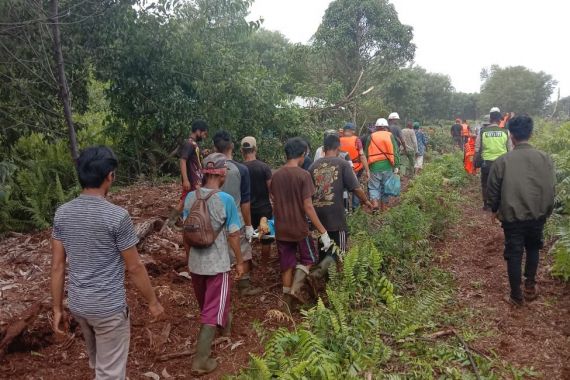 Seorang Wanita Tewas Diterkam Harimau Sumatra di Pelalawan - JPNN.COM