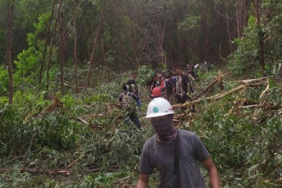 Detik-Detik Wanita Tewas Diterkam Harimau Sumatra saat Menunggu Suaminya Mandi - JPNN.COM