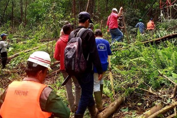 Seusai Seorang Wanita Diserang Harimau, BBKSDA Riau Pasang Perangkap di Lokasi Kejadian - JPNN.COM