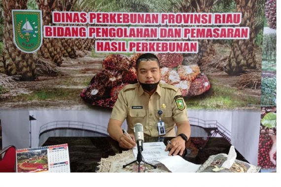 Makin Meroket, Simak Harga TBS Sawit Terbaru di Riau - JPNN.COM
