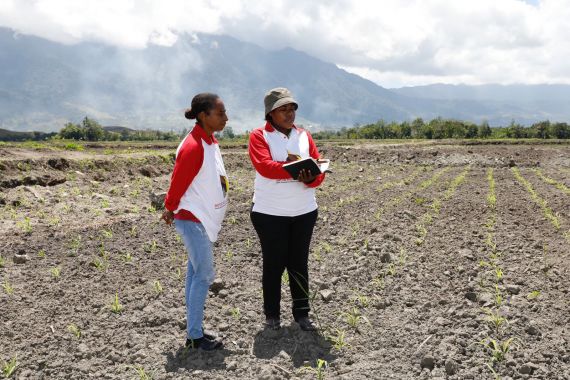 Wujudkan Ketahanan Pangan, Papua Muda Inspiratif Persiapkan Tanam Jagung di Lahan 250 Hektar - JPNN.COM
