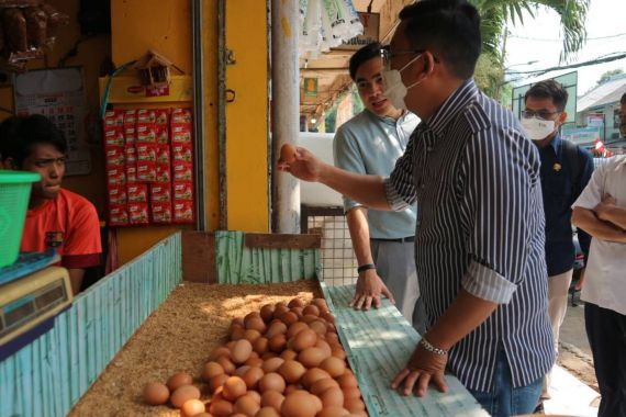 NFA Siap Lakukan Intervensi Jika Harga Telur Ayam Tidak Turun Minggu Ini - JPNN.COM