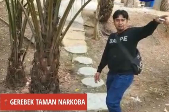 Taman Narkoba di Riau Viral, Ini Kata BNN - JPNN.COM