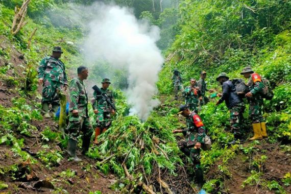 Anggota TNI Bergerak ke Pegunungan Tangse, Lihat Tuh yang Dimusnahkan - JPNN.COM