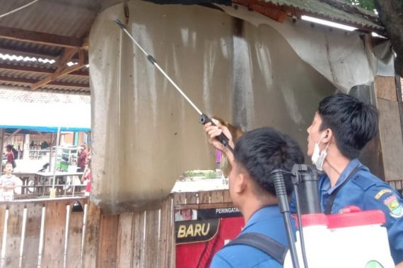Ulat Bulu Menyerang, Warga Satu Kampung di Tangerang Resah - JPNN.COM