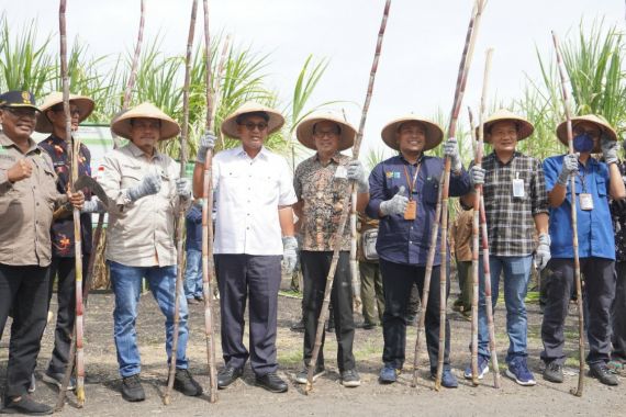 Menuju Swasembada Gula 2025, Perhutani Panen Perdana - JPNN.COM