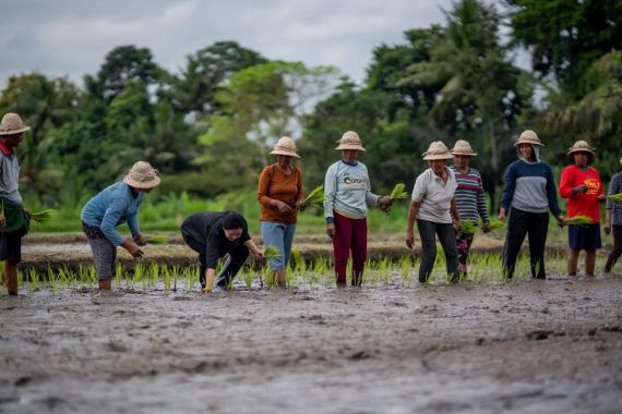 Kunker di Bali, Puan Tanam Padi Bareng Petani dan Borong Sayur Mayur - JPNN.COM