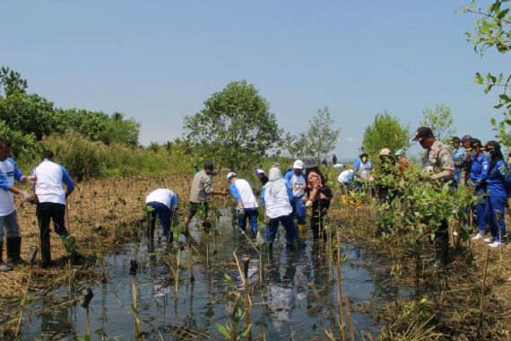 18 Ribu Bibit Mangrove Ditanam di Pandeglang, Ini Visi Misi KEHATI dan ASC - JPNN.COM