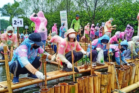 Kurangi Dampak Pemanasan Global, 3.000 Mangrove Ditanam di Pantai Indah Kapuk - JPNN.COM