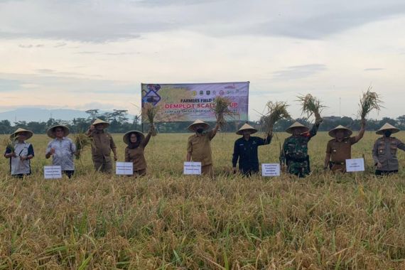 IP Petani Subang Meningkat Berkat Program CSA - JPNN.COM