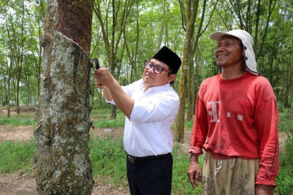 Sapa Petani Lampung, Gus Muhaimin: Subsidi Pupuk Harus Diperbanyak - JPNN.COM