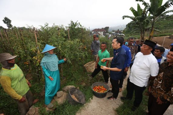 Berkunjung ke Dapil, Ibas Terima Aduan dari Petani soal Pupuk - JPNN.COM