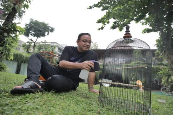 Hari Pertama Tak Jabat Gubernur, Anies Mandikan Burung hingga Jalan ke Sekolah Anak - JPNN.COM