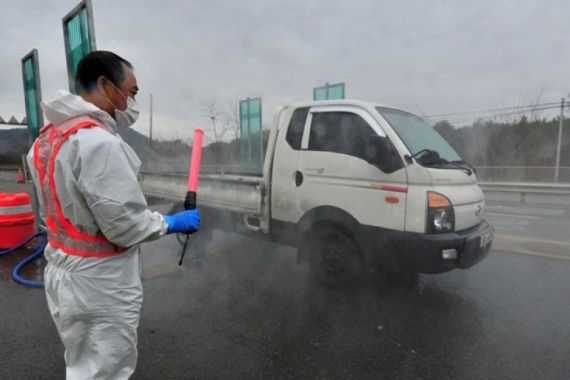 Flu Burung Kembali Ditemukan di Korsel, 10 Ribu Bebek Langsung Dimusnahkan - JPNN.COM
