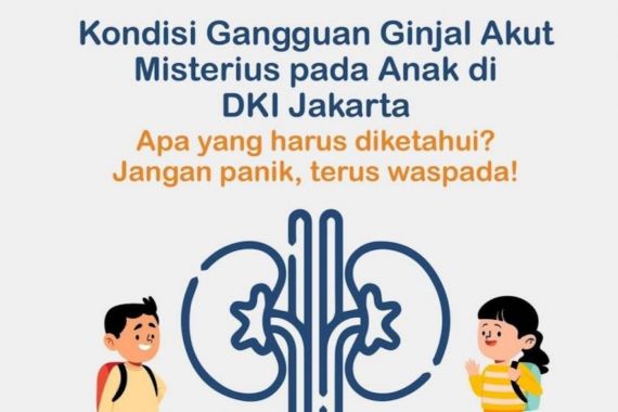 Gagal Ginjal Akut Misterius Pada Anak Terjadi Tanpa Penyakit Penyerta - JPNN.COM