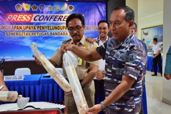Prajurit TNI AL Gagalkan Penyelundupan Baby Lobster Bernilai Miliaran Rupiah - JPNN.COM
