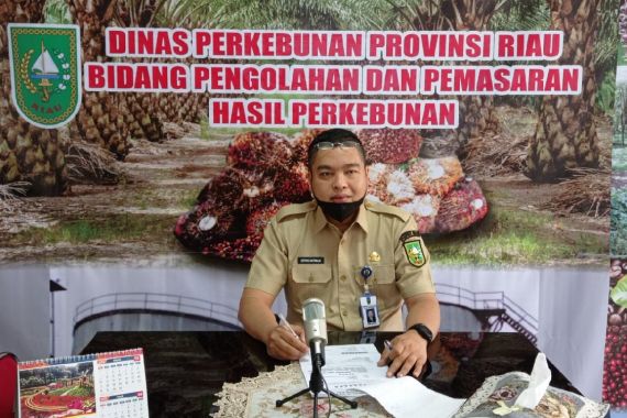Naik Terus, Sebegini Harga TBS Sawit di Riau Hari Ini - JPNN.COM