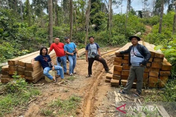 AKBP Nuswanto: Sudah Kami Tetapkan Satu Orang Tersangka Kasus Illegal Logging - JPNN.COM